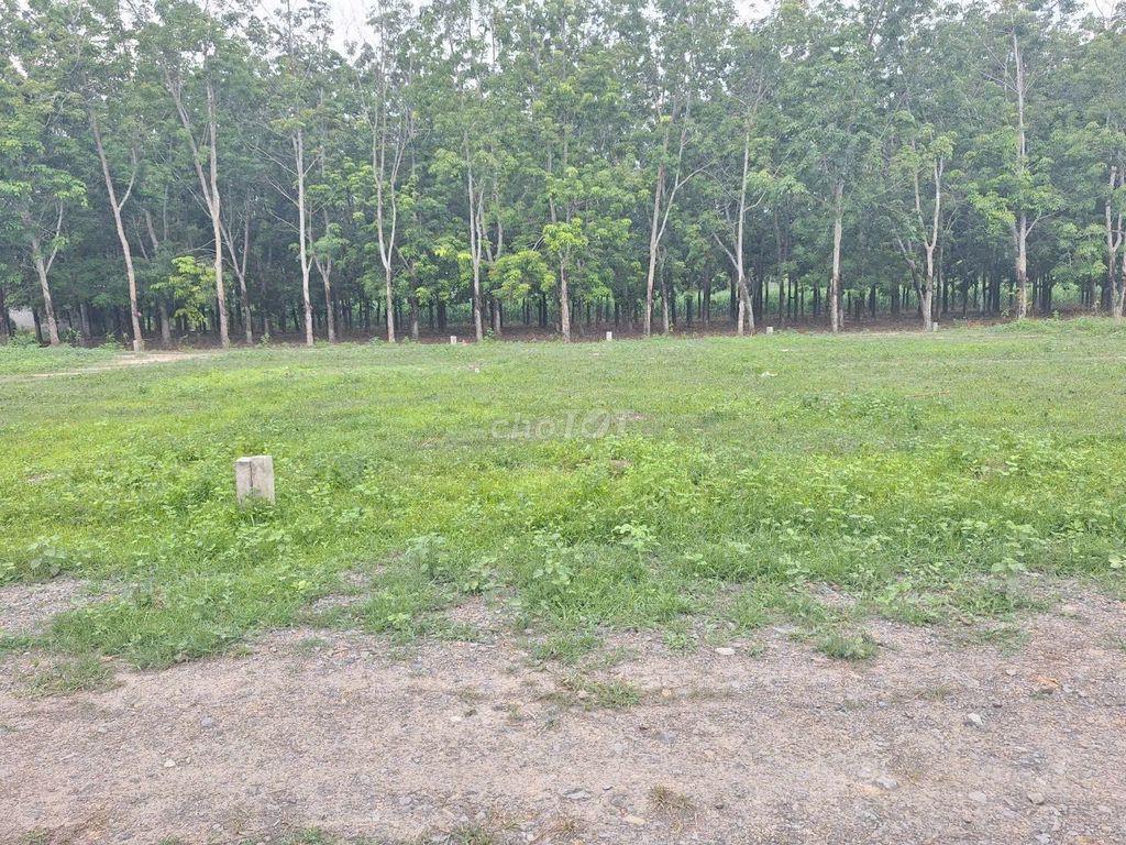110m2 thổ cư ngay gần cổng KCN Phước Đông 3200ha. 5xx tr