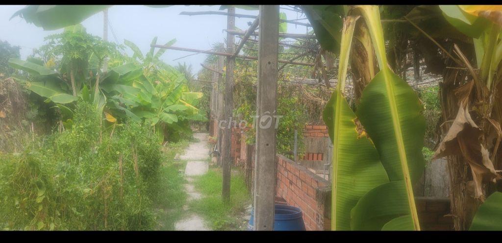 Nhà mặt tiền đẹp chính chủ