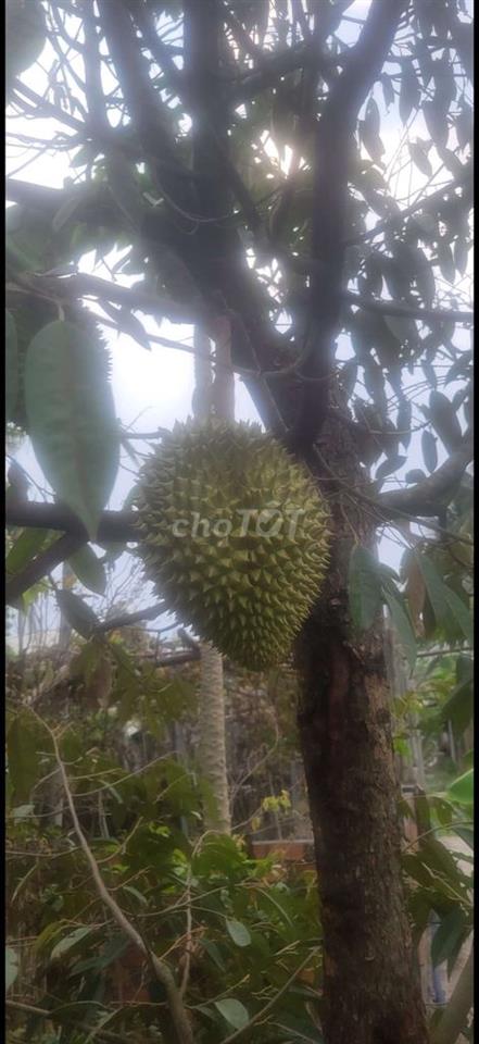 Mặt bằng kinh doanh rộng