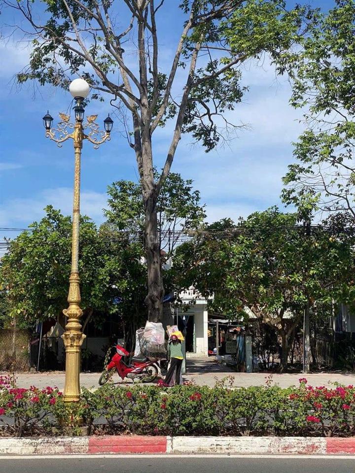 bán nhà đất 
