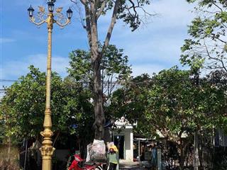 bán nhà đất 