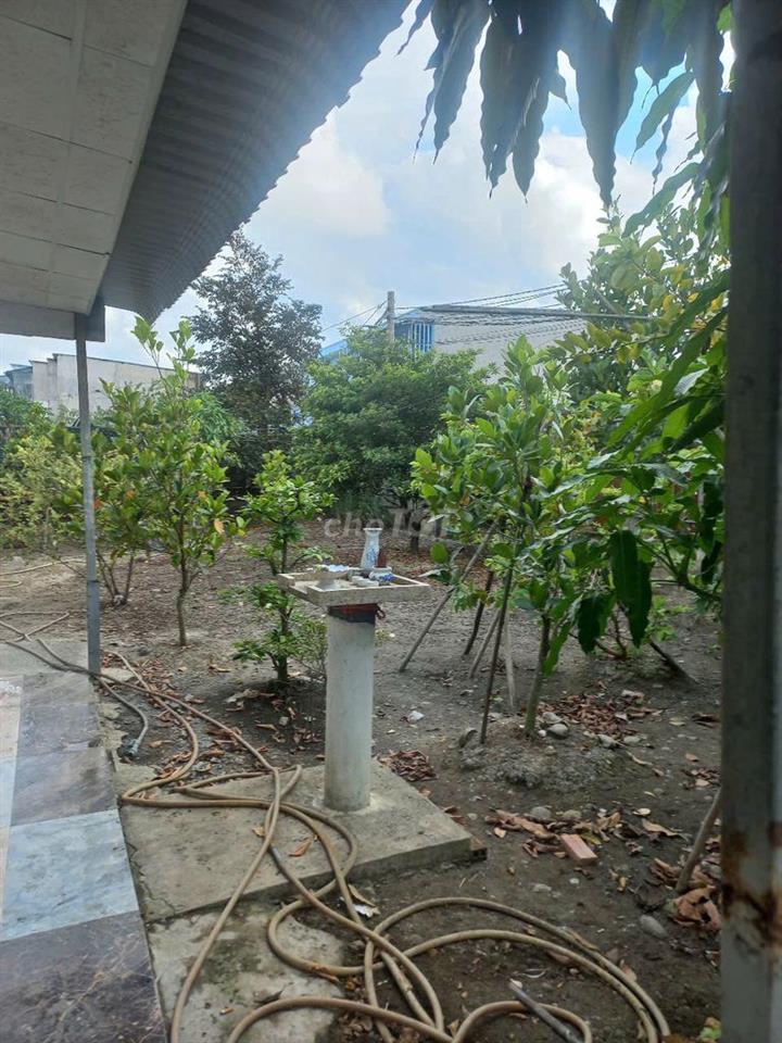 Cho thuê nhà và đất Đối diện Trạm Y tế Xã Hưng Long Bình Chánh