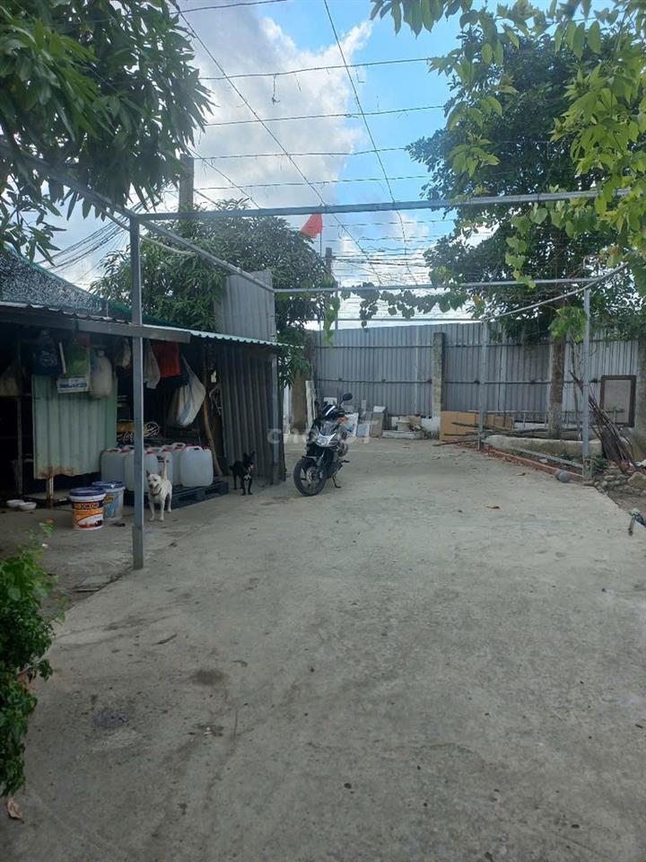 Cho thuê nhà và đất Đối diện Trạm Y tế Xã Hưng Long Bình Chánh