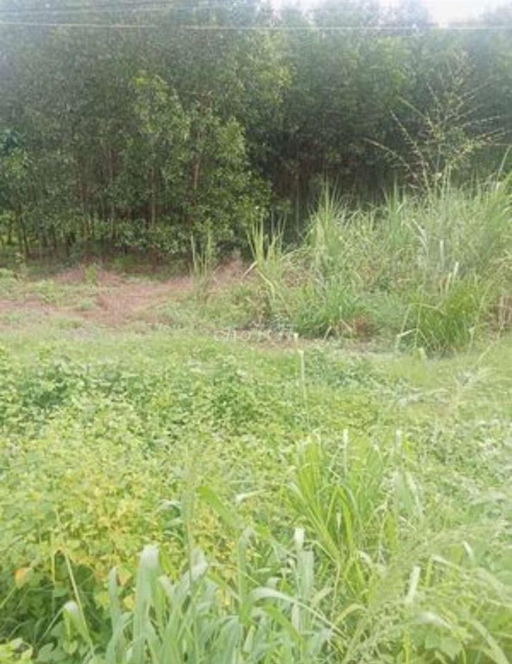 kẹt tiền bán gấp đất mặt tiền đường đi nhiều hướng thanh hòa