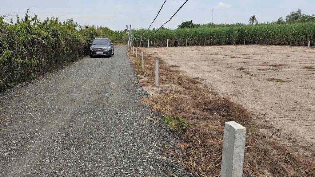 Đất Thổ Cư 5x26m Đường Ô Tô Thạnh Đức Gò Dầu Tây Ninh