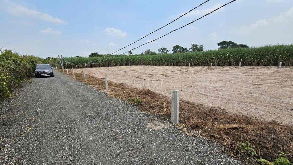Đất Thổ Cư 5x26m Đường Ô Tô Thạnh Đức Gò Dầu Tây Ninh