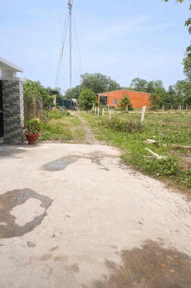 Đất 10x33m Thổ cư  Phường Gò Dầu Tây Ninh giá chỉ 550tr