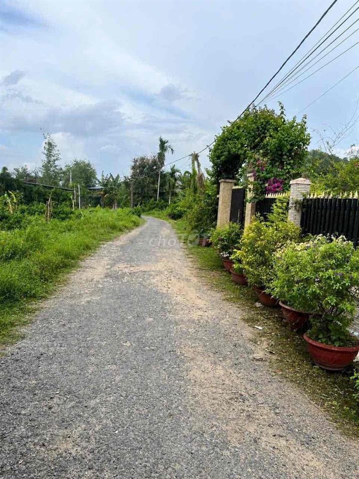 Đất Thổ Cư 5x20m Đường Nhựa KP Xóm Mới Phường Gò Dầu giá chỉ 449tr