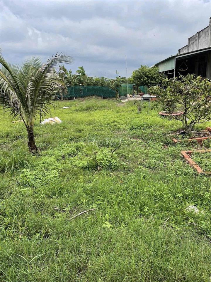 Đất Thổ Cư
