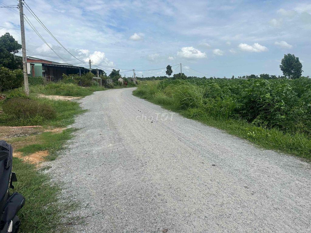 Bán đất ấp Long Tân, xã Long Thuận, tỉnh Tây Ninh