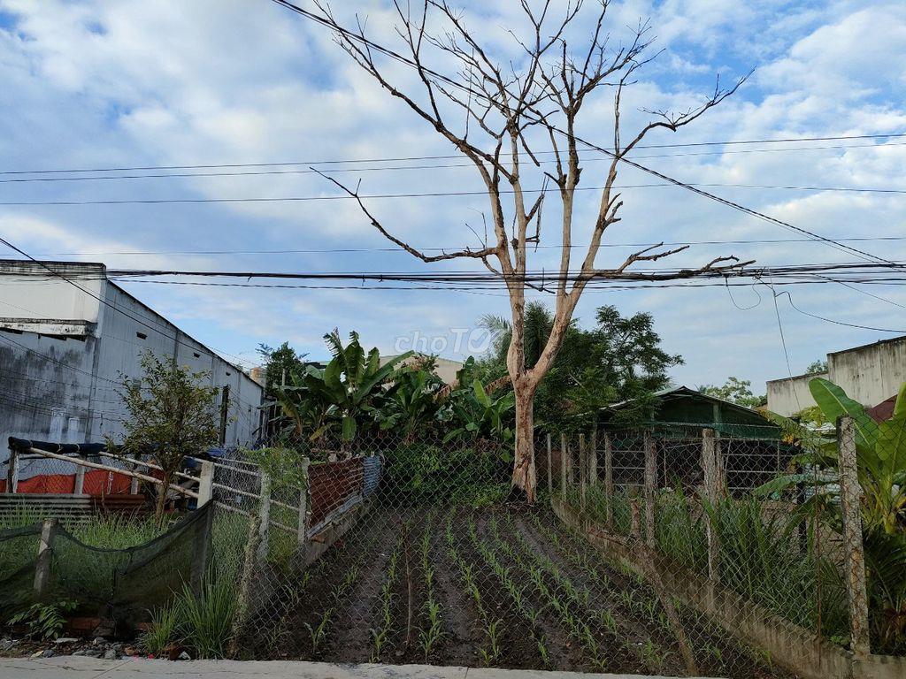 CHÍNH CHỦ CẦN BÁN LÔ ĐẤT THỔ CƯ NGAY TRUNG TÂM THỊ TRẤN GÒ DẦU