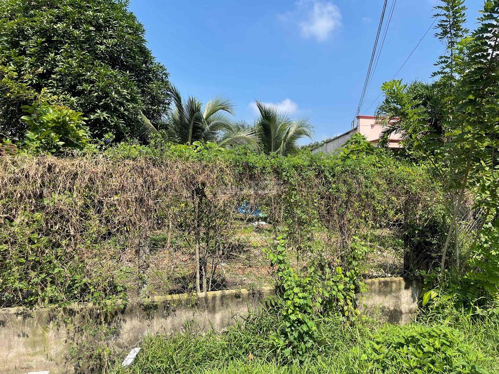 Bán 02 phần đất mặt tiền đường nhựa QH 20m, trung tâm P.Trảng Bàng