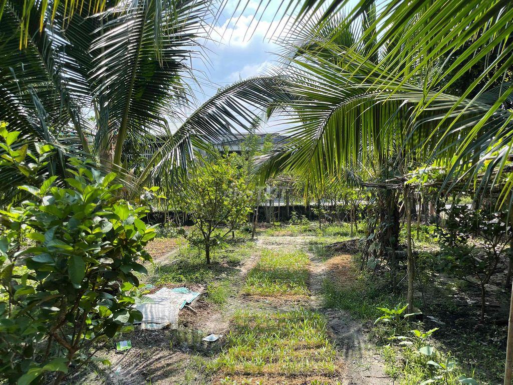Bán 02 phần đất mặt tiền đường nhựa QH 20m, trung tâm P.Trảng Bàng