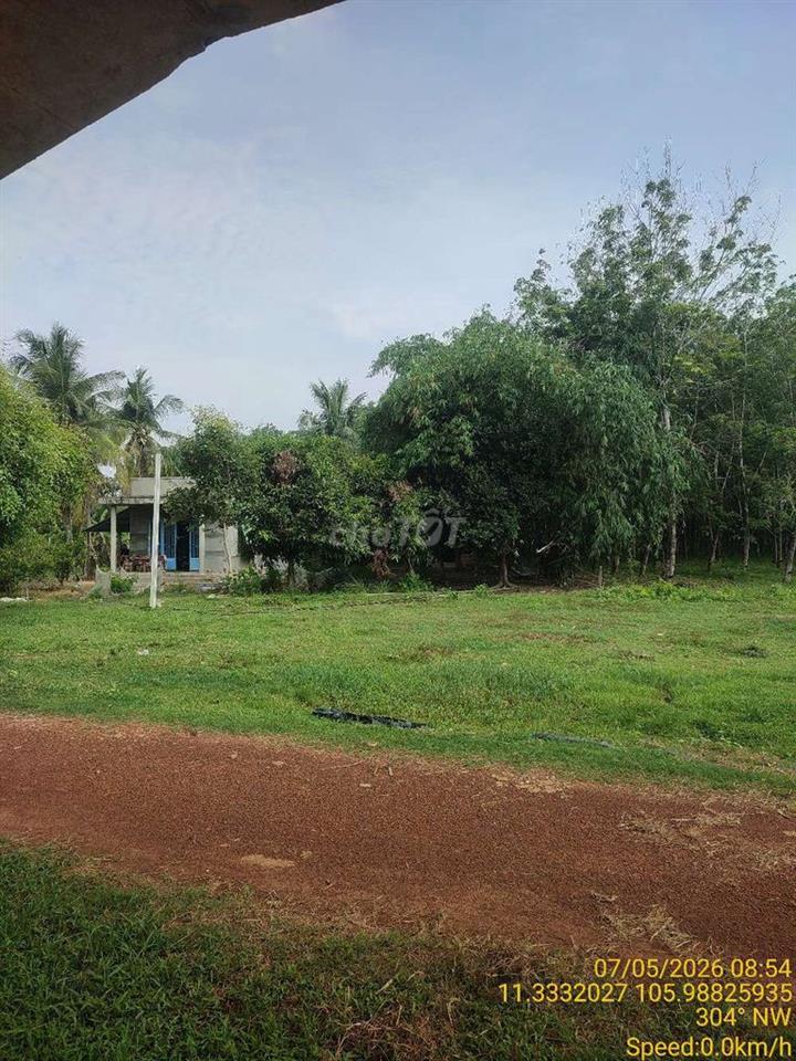 Đất Hảo Đước - Tây Ninh