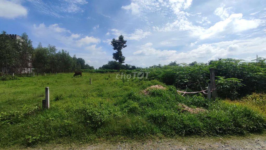 Đất Bến Trường - Hảo Đước - Tây Ninh