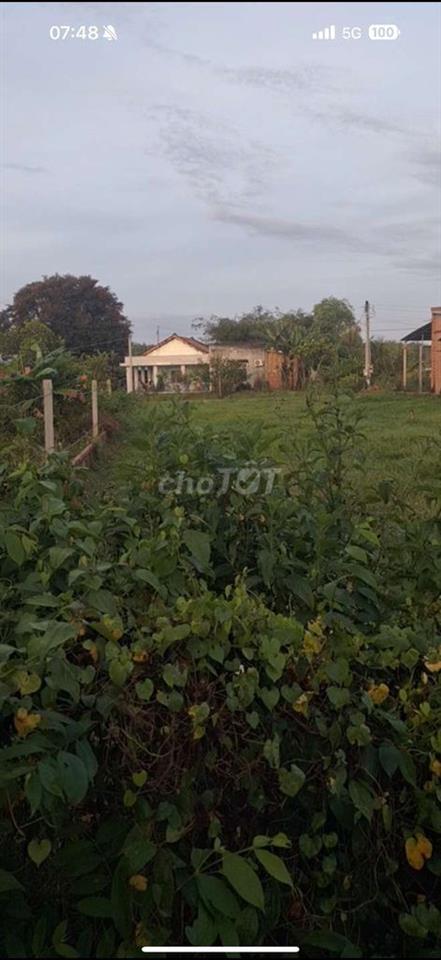 BÁN ĐẤT THỔ CƯ GẦN TU VIỆN – CHỐN AN YÊN ĐỂ LÀM AM THẤT TU TẬP