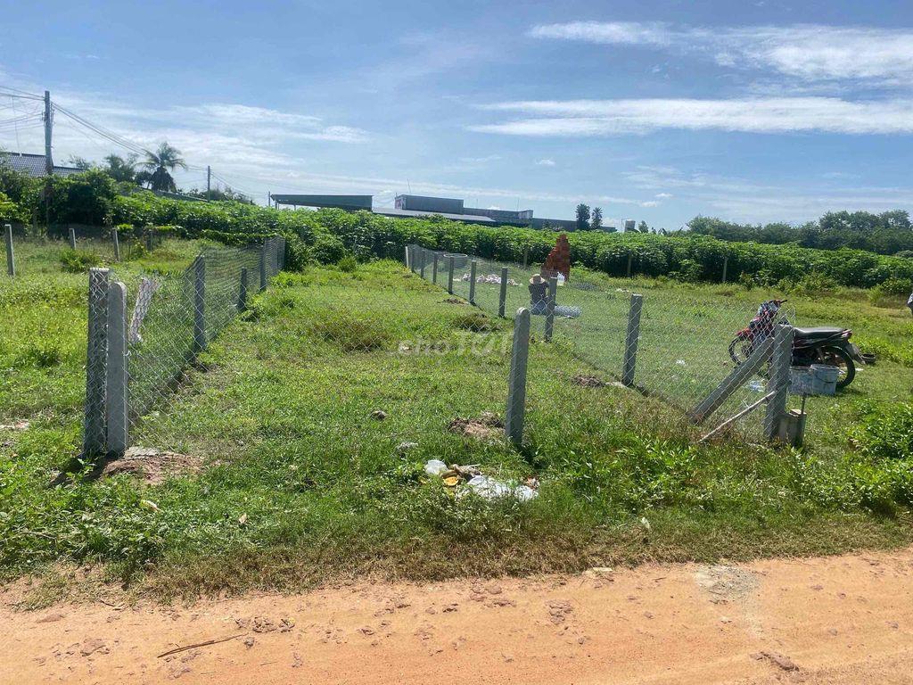 Chính chủ cần bán đất Tân Hưng, Tân Châu, Tây Ninh