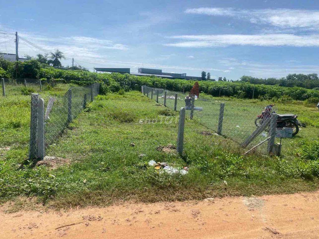 Bán đất Tân Hưng, Tân Châu, Tây Ninh