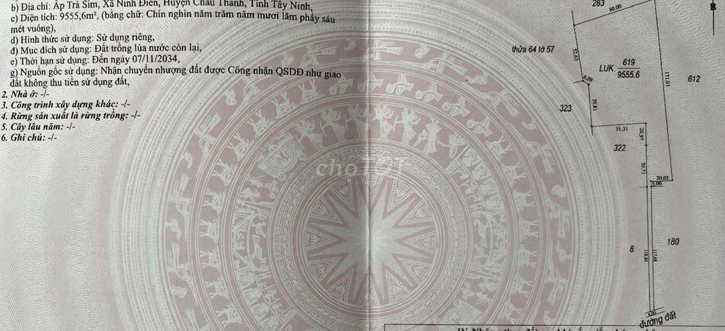 9555,6 m2 đất,đường đất đỏ, xe ô tô