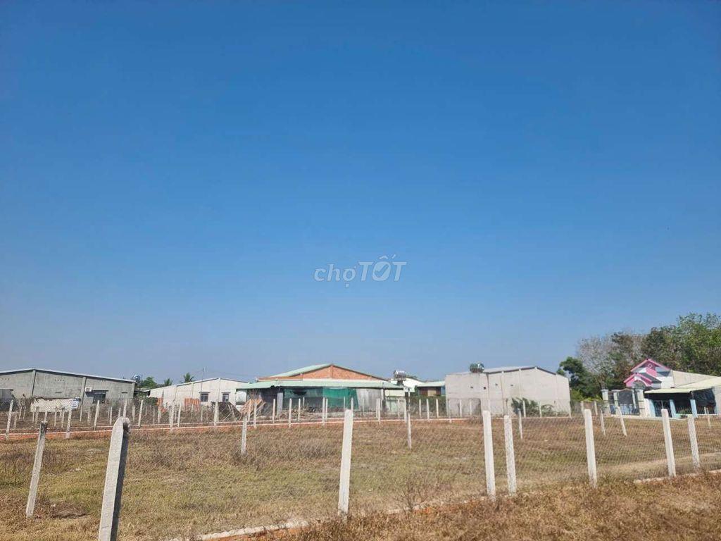Đất Xóm Mới, xã Thanh Phước, Gò Dầu