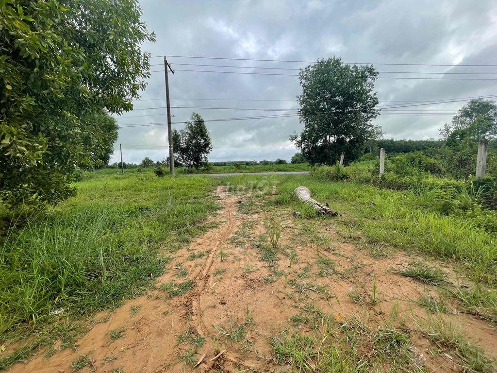 Đất xây biệt thự, kho xưởng, mở quán 800m2 mt đường nhựa