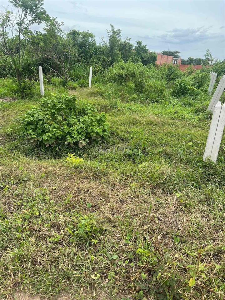 em cần tiền nên cần bán gấp ạ