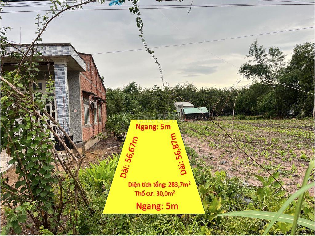 Cần Bán Gấp Đất Khu Dân Cư Ấp 2, Xã Suối Dây Giá Siêu Tốt !