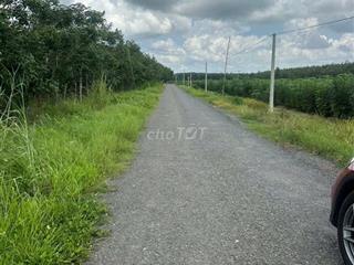 Cần tiền bán gấp lô đất MT nhữa 30m