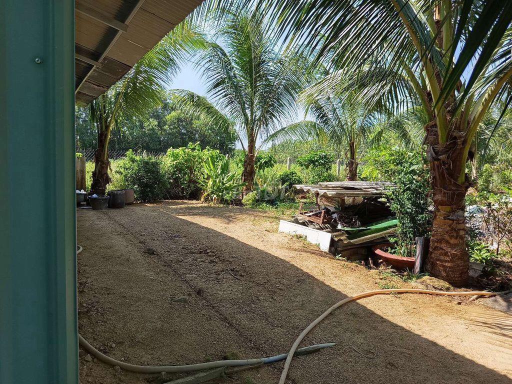 Tôi cần bán mảnh vườn cây ăn trái