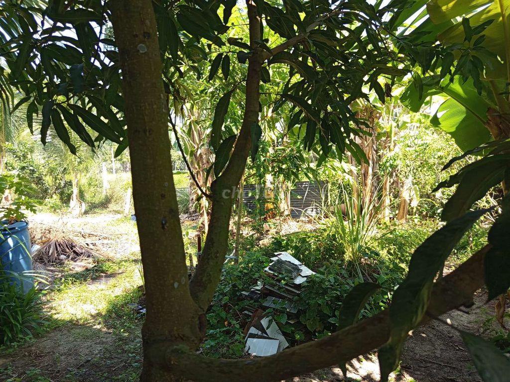 Tôi cần bán mảnh vườn cây ăn trái