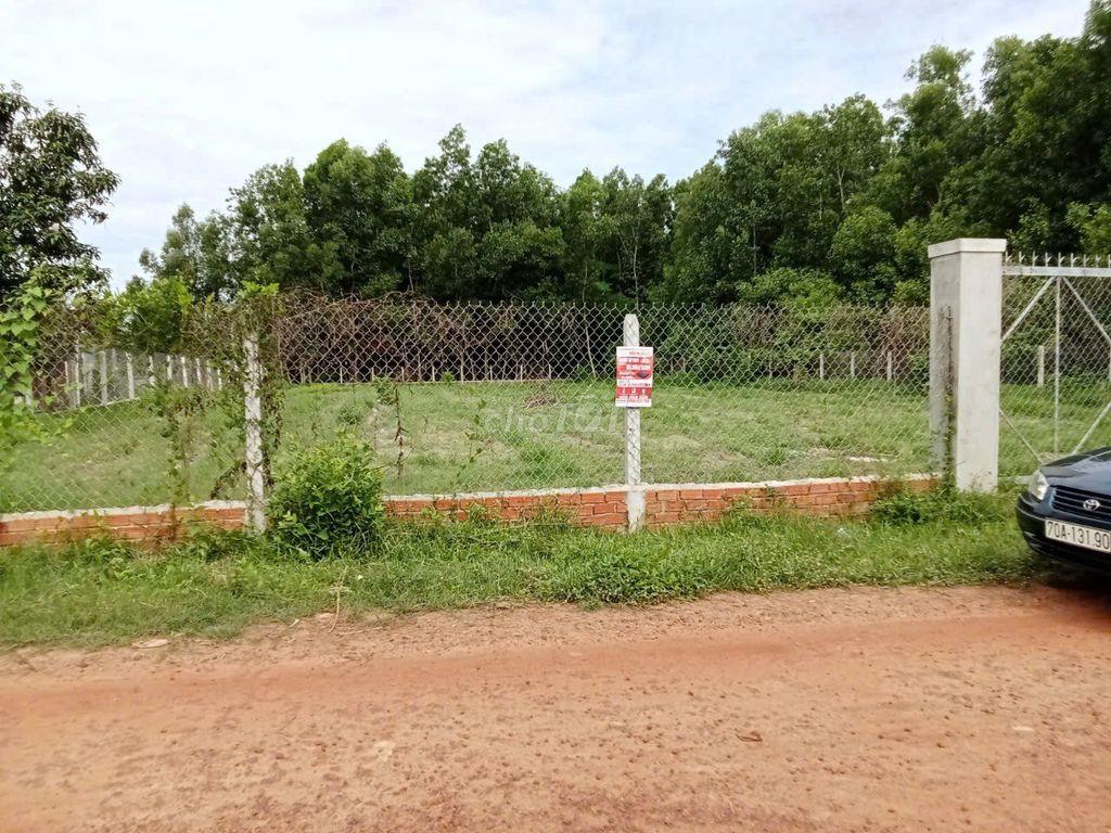  CHÍNH CHỦ CẦN BÁN GẤP ĐẤT 1945m2 HẺM THÔNG NỜ HẬU