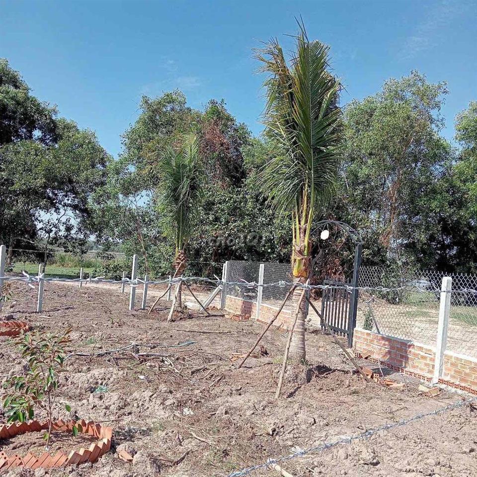 🔥🔥QUÁ ==> 399Tr🔥🔥  Có khu vườn 1000m2 vuông vức, tặng hàng rào, tặ