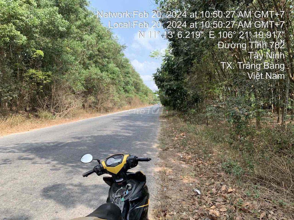 đất mặt tiền đường DT 782, khu sầm uất