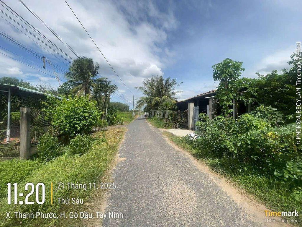 ĐẤT BÁN - PHƯỜNG GÒ DẦU