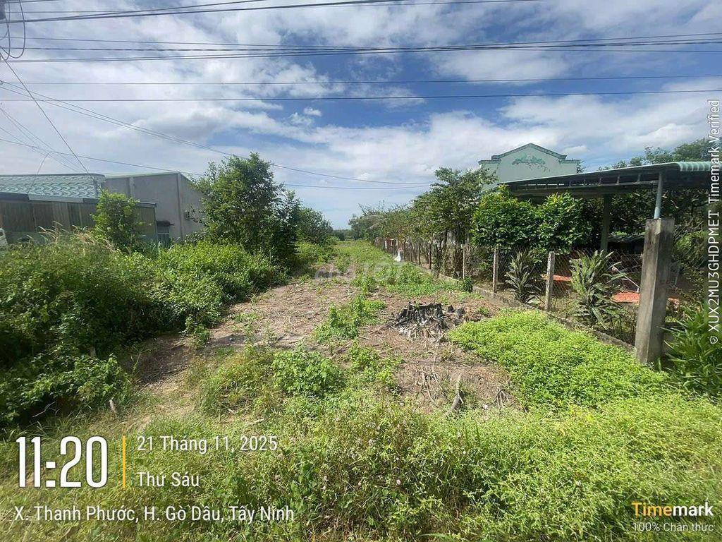 ĐẤT BÁN - PHƯỜNG GÒ DẦU