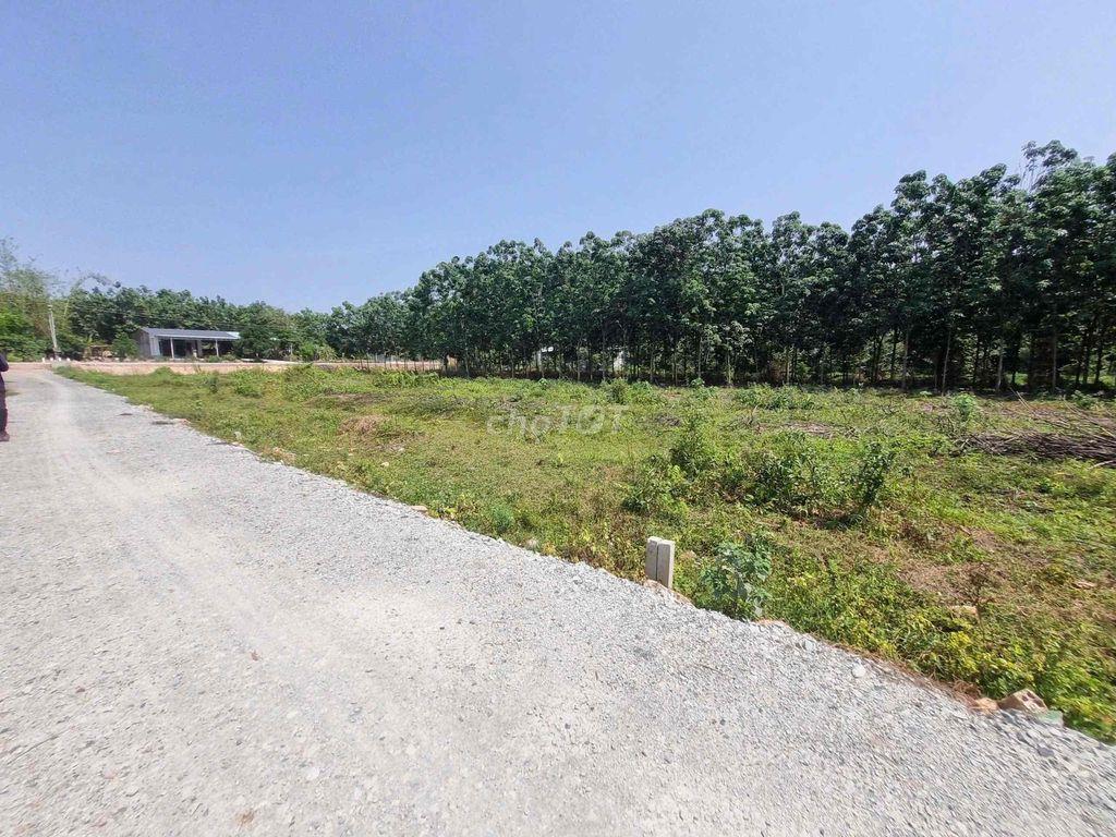 BÁN ĐẤT THỔ CƯ 138m² – BẾN CỦI, DƯƠNG MINH CHÂU, TÂY NINH  Diện tích: