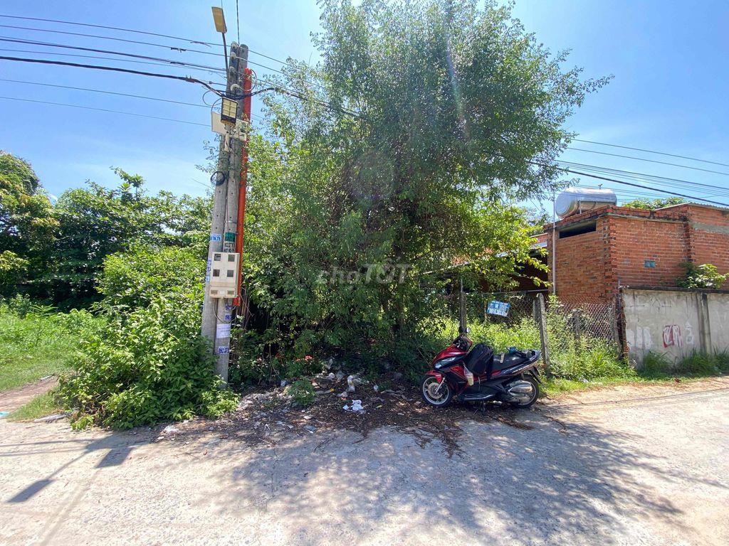 ĐẤT THỔ CƯ TRẢNG BÁNG , TÂY NINH