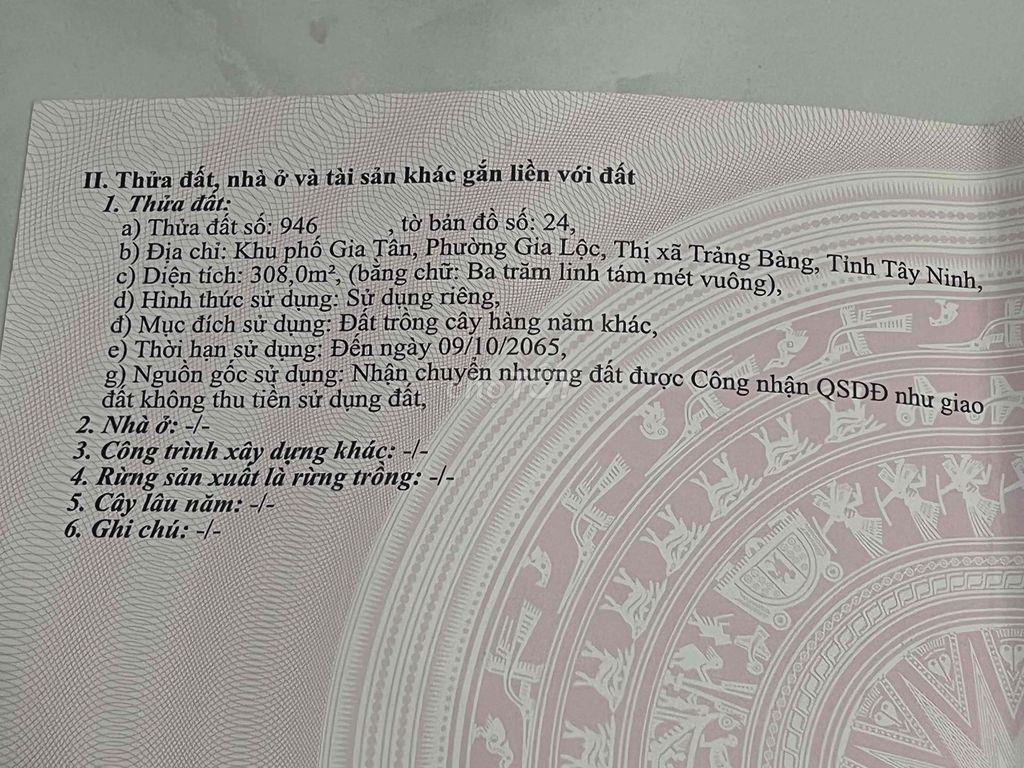 BÁN GẤP ĐẤT NỞ HẬU – GIÁ ĐẦU TƯ TẠI GIA LỘC, TRẢNG BÀNG