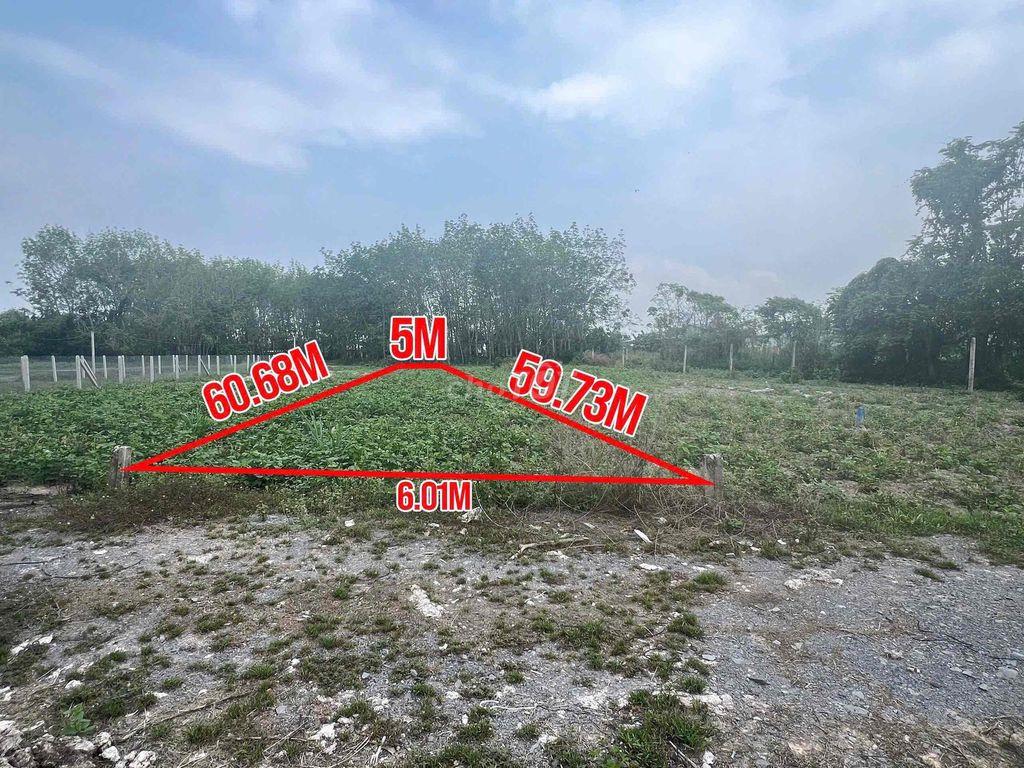 BÁN GẤP ĐẤT NỞ HẬU – GIÁ ĐẦU TƯ TẠI GIA LỘC, TRẢNG BÀNG