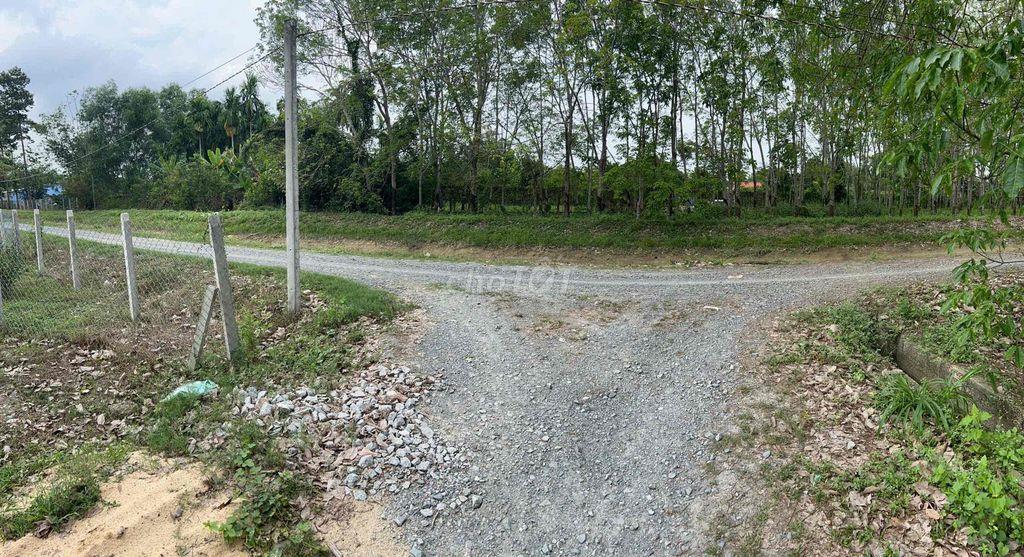 BÁN GẤP ĐẤT NỞ HẬU – GIÁ ĐẦU TƯ TẠI GIA LỘC, TRẢNG BÀNG