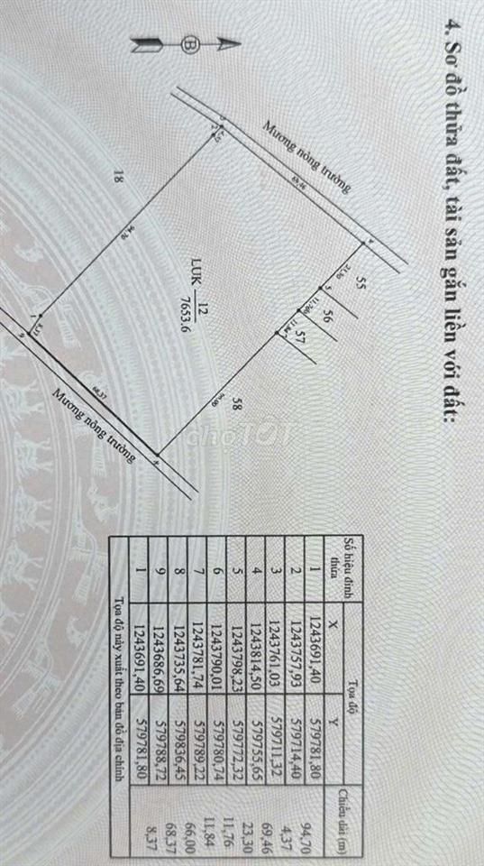 BÁN ĐẤT MẪU CAO SU SẴN KHAI THÁC