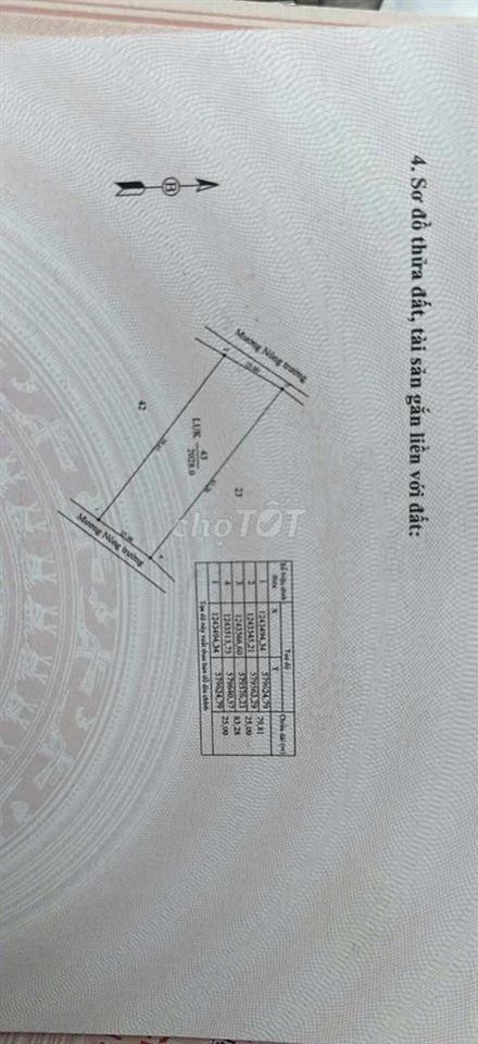 BÁN ĐẤT MẪU CAO SU SẴN KHAI THÁC