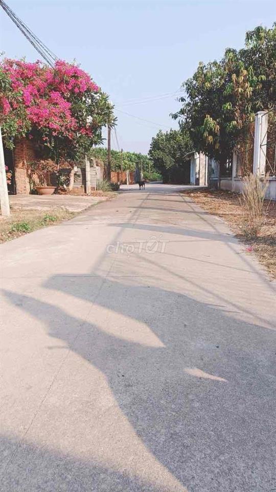 Đất dân ở ấp thạnh nghĩa, xã thạnh đông, tân châu, TN