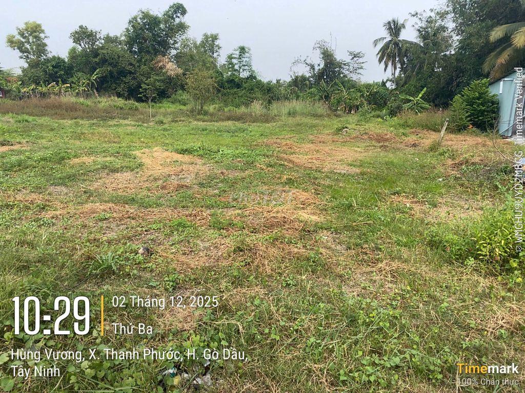 BÁN GẤP