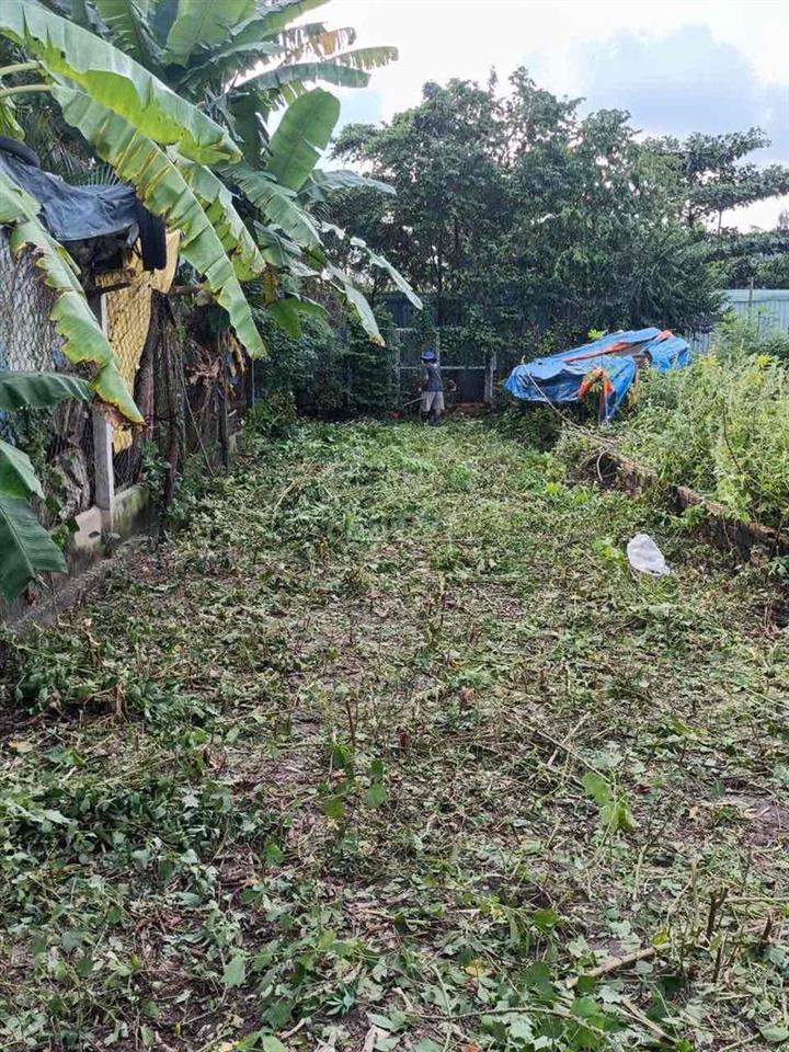 Cần bán 2 lô đất ở tiền giang + tây ninh , gặp trực tiếp chủ