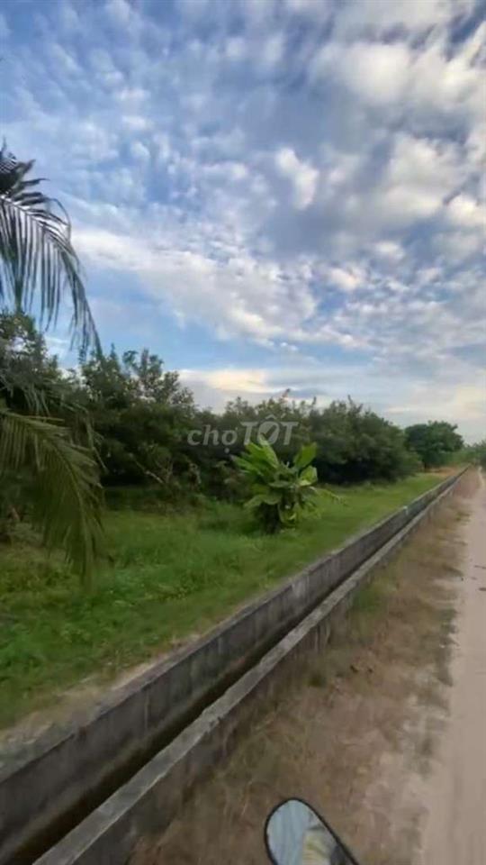 CHÍNH CHỦ BÁN ĐẤT CÂY LÂU NĂM Ở TÂY NINH