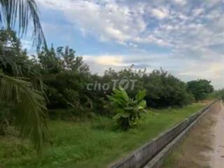 CHÍNH CHỦ BÁN ĐẤT CÂY LÂU NĂM Ở TÂY NINH