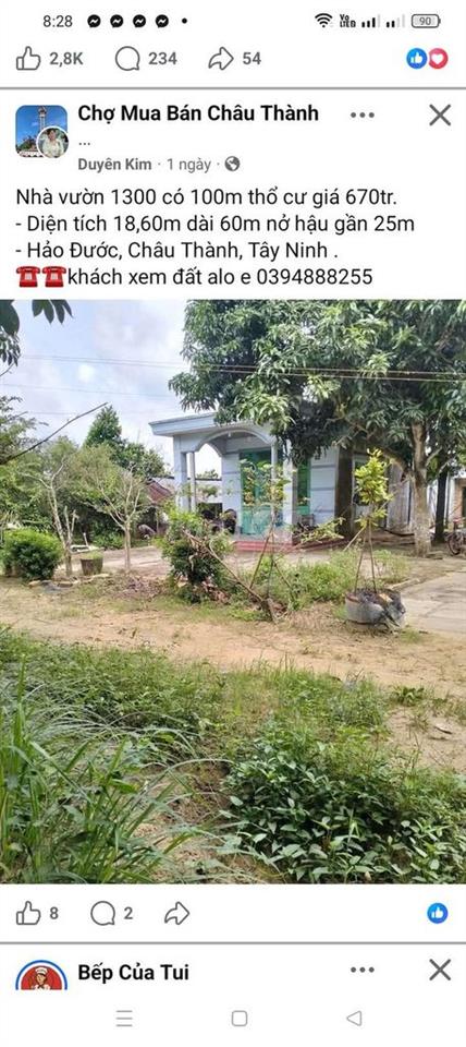 trên đất đã có sẵn nhà cấp 4 , có 100 thổ cư