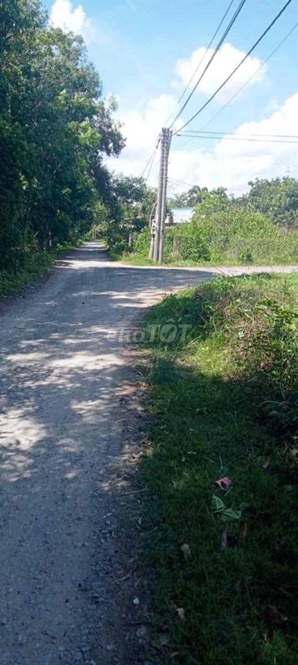 Vị Trí: Trà Võ - Đất Sét, Ấp Đường Long, Xã Thạnh Đức, Huyện Gò Dầu (c