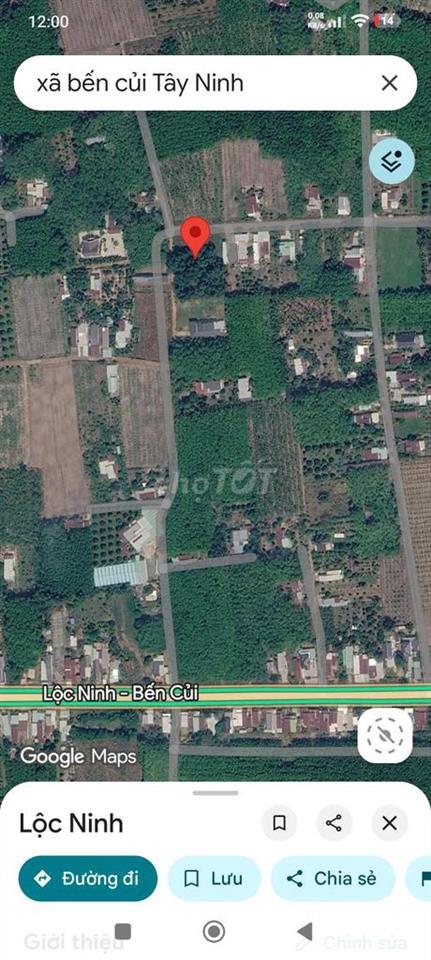 thổ cư chính chủ, dương minh châu tây ninh
